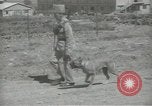 Image gendarmes palestinien Palestine, 1938, de la seconde 46 séquences d'archives historiques vidéo 65675062957