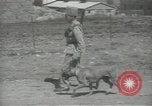Image gendarmes palestinien Palestine, 1938, de la seconde 47 séquences d'archives historiques vidéo 65675062957
