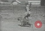 Image gendarmes palestinien Palestine, 1938, de la seconde 49 séquences d'archives historiques vidéo 65675062957