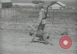 Image gendarmes palestinien Palestine, 1938, de la seconde 50 séquences d'archives historiques vidéo 65675062957