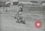 Image gendarmes palestinien Palestine, 1938, de la seconde 51 séquences d'archives historiques vidéo 65675062957
