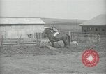 Image gendarmes palestinien Palestine, 1938, de la seconde 59 séquences d'archives historiques vidéo 65675062957