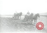 Image civils palestiniens Palestine, 1938, de la seconde 43 séquences d'archives historiques vidéo 65675062958