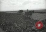 Image civils palestiniens Palestine, 1938, de la seconde 44 séquences d'archives historiques vidéo 65675062958