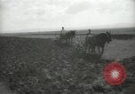 Image civils palestiniens Palestine, 1938, de la seconde 46 séquences d'archives historiques vidéo 65675062958