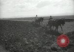 Image civils palestiniens Palestine, 1938, de la seconde 47 séquences d'archives historiques vidéo 65675062958