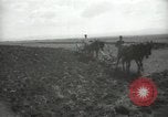Image civils palestiniens Palestine, 1938, de la seconde 48 séquences d'archives historiques vidéo 65675062958