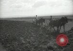 Image civils palestiniens Palestine, 1938, de la seconde 49 séquences d'archives historiques vidéo 65675062958