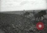 Image civils palestiniens Palestine, 1938, de la seconde 50 séquences d'archives historiques vidéo 65675062958
