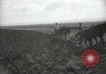 Image civils palestiniens Palestine, 1938, de la seconde 51 séquences d'archives historiques vidéo 65675062958