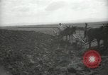 Image civils palestiniens Palestine, 1938, de la seconde 52 séquences d'archives historiques vidéo 65675062958