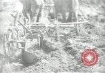 Image civils palestiniens Palestine, 1938, de la seconde 54 séquences d'archives historiques vidéo 65675062958