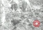 Image civils palestiniens Palestine, 1938, de la seconde 55 séquences d'archives historiques vidéo 65675062958