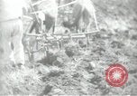 Image civils palestiniens Palestine, 1938, de la seconde 56 séquences d'archives historiques vidéo 65675062958