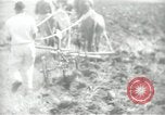 Image civils palestiniens Palestine, 1938, de la seconde 57 séquences d'archives historiques vidéo 65675062958