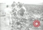 Image civils palestiniens Palestine, 1938, de la seconde 58 séquences d'archives historiques vidéo 65675062958