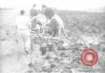 Image civils palestiniens Palestine, 1938, de la seconde 59 séquences d'archives historiques vidéo 65675062958