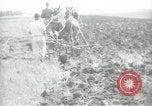 Image civils palestiniens Palestine, 1938, de la seconde 62 séquences d'archives historiques vidéo 65675062958
