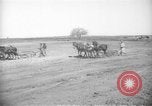 Image civils palestiniens Samarie Palestine, 1938, de la seconde 11 séquences d'archives historiques vidéo 65675062959