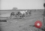 Image civils palestiniens Samarie Palestine, 1938, de la seconde 28 séquences d'archives historiques vidéo 65675062959
