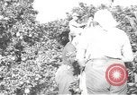 Image civils palestiniens Rehovot Palestine, 1938, de la seconde 1 séquences d'archives historiques vidéo 65675062960