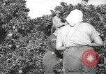 Image civils palestiniens Rehovot Palestine, 1938, de la seconde 4 séquences d'archives historiques vidéo 65675062960