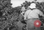 Image civils palestiniens Rehovot Palestine, 1938, de la seconde 5 séquences d'archives historiques vidéo 65675062960
