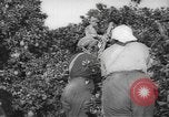 Image civils palestiniens Rehovot Palestine, 1938, de la seconde 8 séquences d'archives historiques vidéo 65675062960