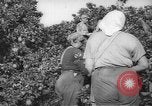 Image civils palestiniens Rehovot Palestine, 1938, de la seconde 14 séquences d'archives historiques vidéo 65675062960