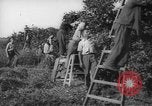 Image civils palestiniens Rehovot Palestine, 1938, de la seconde 23 séquences d'archives historiques vidéo 65675062960