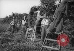 Image civils palestiniens Rehovot Palestine, 1938, de la seconde 24 séquences d'archives historiques vidéo 65675062960