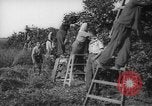 Image civils palestiniens Rehovot Palestine, 1938, de la seconde 25 séquences d'archives historiques vidéo 65675062960