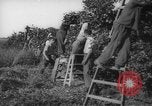 Image civils palestiniens Rehovot Palestine, 1938, de la seconde 26 séquences d'archives historiques vidéo 65675062960