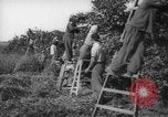 Image civils palestiniens Rehovot Palestine, 1938, de la seconde 27 séquences d'archives historiques vidéo 65675062960