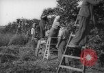 Image civils palestiniens Rehovot Palestine, 1938, de la seconde 28 séquences d'archives historiques vidéo 65675062960