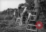 Image civils palestiniens Rehovot Palestine, 1938, de la seconde 29 séquences d'archives historiques vidéo 65675062960