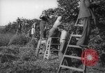 Image civils palestiniens Rehovot Palestine, 1938, de la seconde 30 séquences d'archives historiques vidéo 65675062960