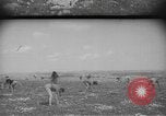 Image civils palestiniens Ramat Rahel Palestine, 1938, de la seconde 19 séquences d'archives historiques vidéo 65675062961