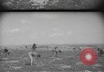 Image civils palestiniens Ramat Rahel Palestine, 1938, de la seconde 20 séquences d'archives historiques vidéo 65675062961