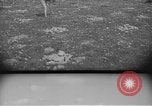 Image civils palestiniens Ramat Rahel Palestine, 1938, de la seconde 22 séquences d'archives historiques vidéo 65675062961