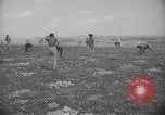 Image civils palestiniens Ramat Rahel Palestine, 1938, de la seconde 25 séquences d'archives historiques vidéo 65675062961