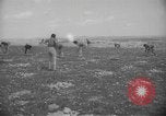 Image civils palestiniens Ramat Rahel Palestine, 1938, de la seconde 26 séquences d'archives historiques vidéo 65675062961