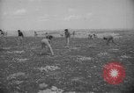 Image civils palestiniens Ramat Rahel Palestine, 1938, de la seconde 30 séquences d'archives historiques vidéo 65675062961