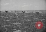 Image civils palestiniens Ramat Rahel Palestine, 1938, de la seconde 31 séquences d'archives historiques vidéo 65675062961