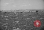 Image civils palestiniens Ramat Rahel Palestine, 1938, de la seconde 32 séquences d'archives historiques vidéo 65675062961