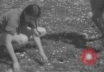 Image civils palestiniens Ramat Rahel Palestine, 1938, de la seconde 36 séquences d'archives historiques vidéo 65675062961