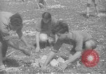 Image civils palestiniens Ramat Rahel Palestine, 1938, de la seconde 40 séquences d'archives historiques vidéo 65675062961