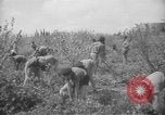 Image civils palestiniens Ramat Rahel Palestine, 1938, de la seconde 47 séquences d'archives historiques vidéo 65675062961