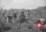 Image civils palestiniens Ramat Rahel Palestine, 1938, de la seconde 48 séquences d'archives historiques vidéo 65675062961