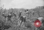 Image civils palestiniens Ramat Rahel Palestine, 1938, de la seconde 49 séquences d'archives historiques vidéo 65675062961